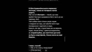 Байка про собак, які живуть і  водять туристів в гори. #гори #похід