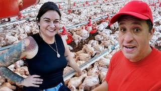 How Chickens Took Over America's Diet