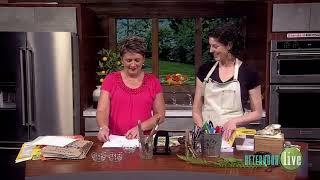 KATU Portland Afternoon Live | DIY Nature Journal | Katherine Roy