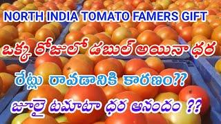 WHY TOMATO PRICE HIKE ? WHAT IS THE REASON FOR TOMATO PRICE INCREASE