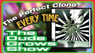 How to Clone Plants, Tips to Increase Cannabis Yields - The Dude Grows Show 1,446
