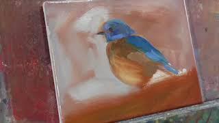 "Western Bluebird" Painting RealTime Version by Peter Chorao