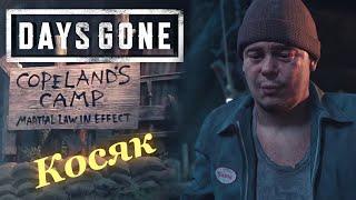 Days gone #2 | Лагерь Коупленда