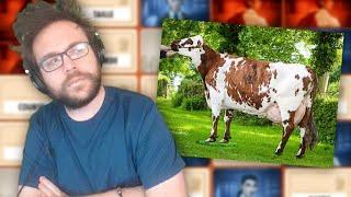 LA VACHE NORMANDE | CodeNames