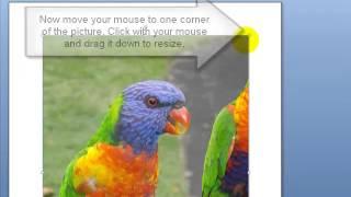Resizing The Picture Microsoft Word 2007