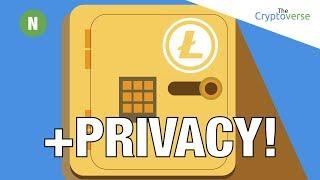 LiteCoin Adding Privacy / Bolivar Tanks To 1 Satoshi / Morgan Stanley On Bitcoin (Cryptoverse)