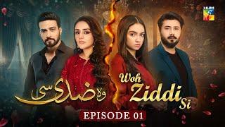 Woh Ziddi Si - Episode 01 - 22nd September 2024 [ Aina Asif & Ali Abbas ] -HUM TV