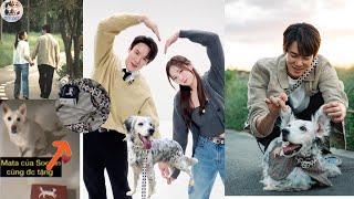 Chae Soo Bin's Dog Mata Receives a Special Leash from Yoo Yeon Seok