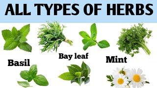 Types of herbs and their names | All types herbs | Name herbs use  in kitchen #food