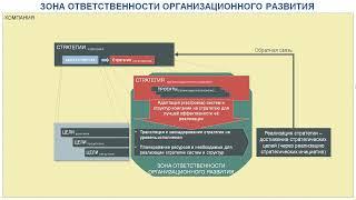 Роль и зона ответственности подразделения организационного развития в системе управления компанией