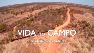 Vida no Campo