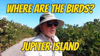 BIRDING TRIP TO JUPITER ISLAND | WE FORGOT TO TELL THE BIRDS