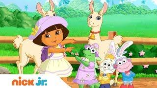 "Zabawa w zwierzątka" Klip muzyczny | Dora poznaje świat & Bąbelkowy Świat Gupików | Nick Jr. Polska