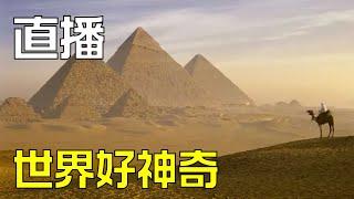 直播 |  金字塔到底是干什么用的？（我也不知道）  人类来地球上的目的是什么？