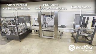 Endflex Turn Key Robotic Carton Loading and Closing System