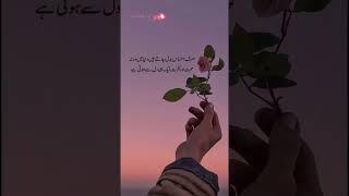 Aqwal e zareen in urdu | urdu quotes | urdu poetry | urdu shayari #shorts #short