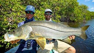 MASSIVE Topwater Snook Fishing