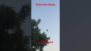 Maa tujhe salam | paragliding in Allahabad | #viral #trending #shortsfeed #video #youtubeshorts