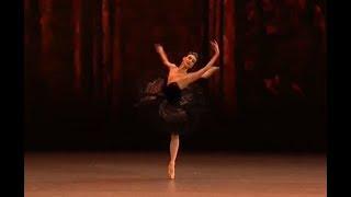 Olga Smirnova - Odile Variation Swan Lake