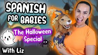 Spanish Halloween for Babies & Toddlers | Songs & Activities | Pumpkin Fun, Costumes, Safety & More