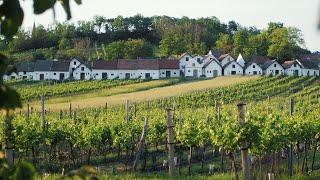 Das Weinviertel entdecken: Genussvolle Kurzurlaube & spannende Ausflüge erleben!