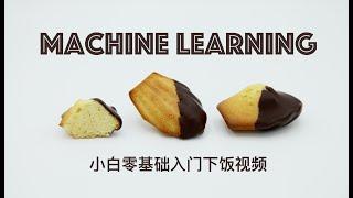 【Machine Learning小白入门】2. Types of Learning | Introduction 学习的类型 | 强化学习撩妹大法好