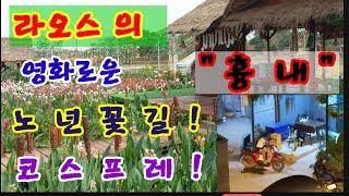 라오스 독거노년 꿈 ! 주홍글씨 영상 만드는 서너명 따라하심 가는길!
