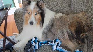 Unboxing:  Bmag Dog Rope Toys for Aggressive Chewers, Interactive Heavy Duty Dog Toys