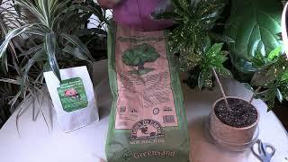 Greensand: Why You Want to Use this Fertilizer for Your Houseplants