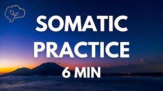 Somatic Exercises for Nervous System Regulation | 6 Min Guided