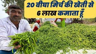 ताबड़तोड़ कमाई वाली खेती | Chilli farming | Mirch ki kheti kaise karen | मिर्च की खेती