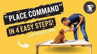 Place Command In 4 Easy Steps