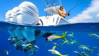 The Most POPULAR Fish in the Florida Keys - Yellowtail Snapper Fishing Frenzy