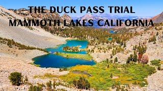 THE DUCK PASS TRAIL MAMMOTH LAKES CALIFORNIA