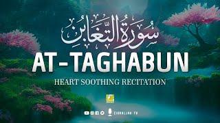 Surah At-Taghabun سورۃ التغابن | Amazing Quran Recitation | Soft Voice | Zikrullah TV