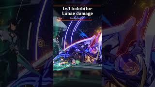 LV.1 IMBIBITOR LUNAE DAMAGE