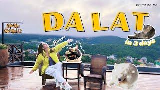 [VIETNAM VLOG] DA LAT EP.01:Coffee shops in Dalat? Where to eat as local? Da Lat Night market