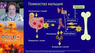 Кому и зачем принимать кальций во время беременности