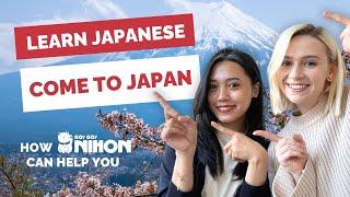 Everything you need to know about studying in Japan  Student visa, language school, accommodation