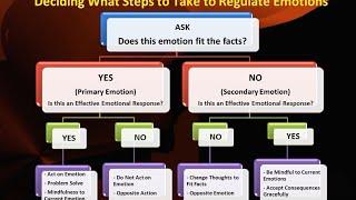 Problem Solving Emotion Regulation Skills - Ep. 4d - DBT Peer Connections