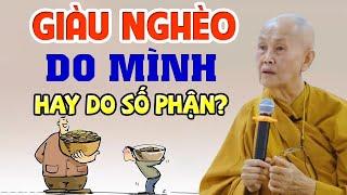 Giàu Nghèo có Số, Sướng Khổ do Trời hay do con người lựa chọn? Hay Quá | Sư Cô Tâm Tâm