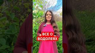 ВОДОЛЕЙ — Характеристика Знака Зодиака #астрология #водолей #эзотерика