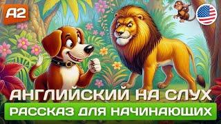Clever Dog  Рассказ на английском для начинающих (А2)