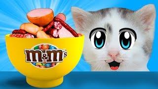 ПРИКОЛЫ С КОТАМИ! СМЕШНОЙ КОТ МАЛЫШ И КОШЕЧКА МУРКА едят КОЛБАСНЫЙ m&ms ! НОВЫЕ ПРАНКИ НАД КОТАМИ