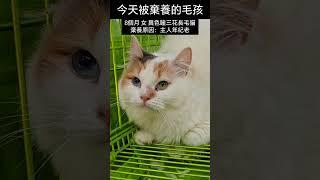 2025年3月29日