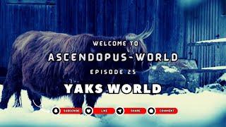 Episode 25: Creatures of Earth  I Yaks World I @Ascendopus-World