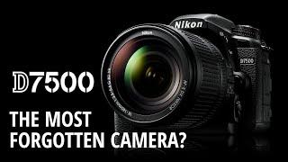 NIKON D7500 Review - The most forgotten camera?