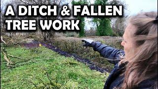 Ditch & Fallen Tree Work Continues At Our Irish Farmhouse