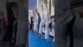10번 차는데 걸린 시간은? #옆차기 #taekwondo #태권도 #kick #sidekick #tkd