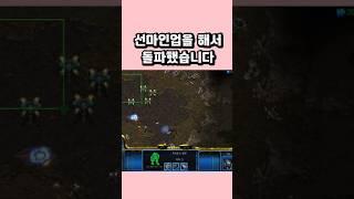 선마인업을 해서 돌파했습니다 #스타크래프트 #래더 #전략 #게임 #프로토스 #날빌 #gaming #starcraft #gameplay